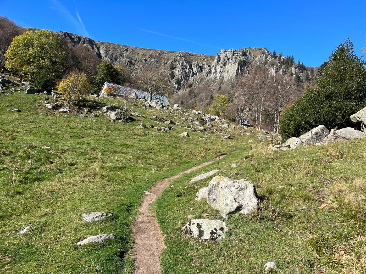 Gite De Montagne -Bellefosse Alsace Exterior photo