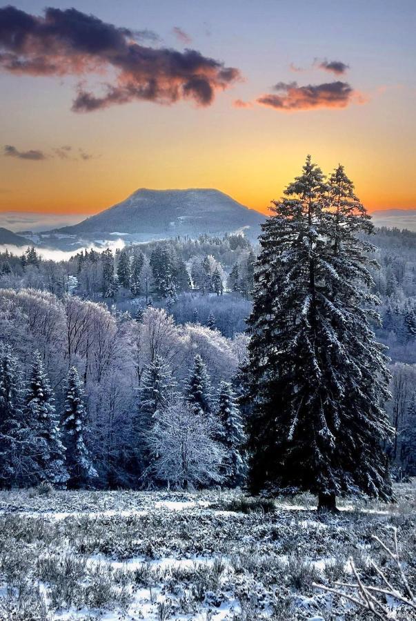 Gite De Montagne -Bellefosse Alsace Exterior photo