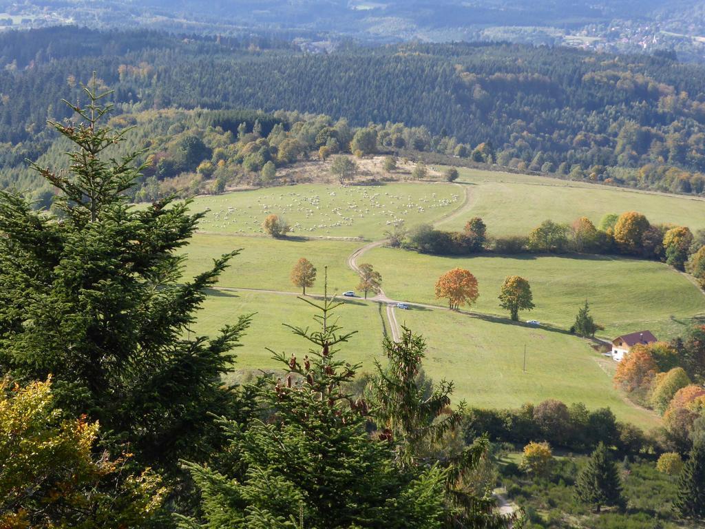 Gite De Montagne -Bellefosse Alsace Exterior photo